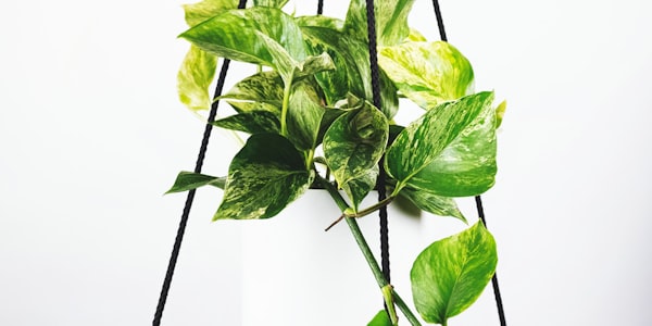 专业足球分析师正在使用战术板讲解比赛战术